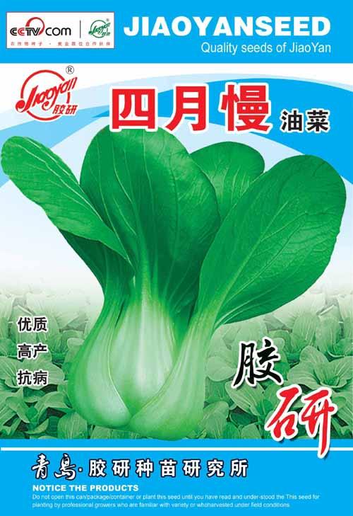 四月慢油菜——油菜